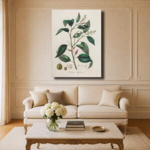 Botanical Canvas Art - 1836 Croton Plant Medical Illustration