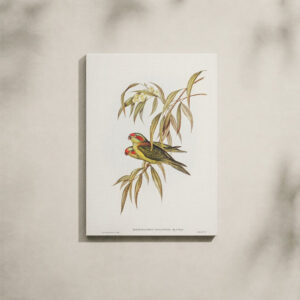 Alternative view of Nature Canvas Art - Lorikeet & Botanical Illustration