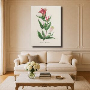 Botanical Canvas Art - Woodland Pinkroot Illustration